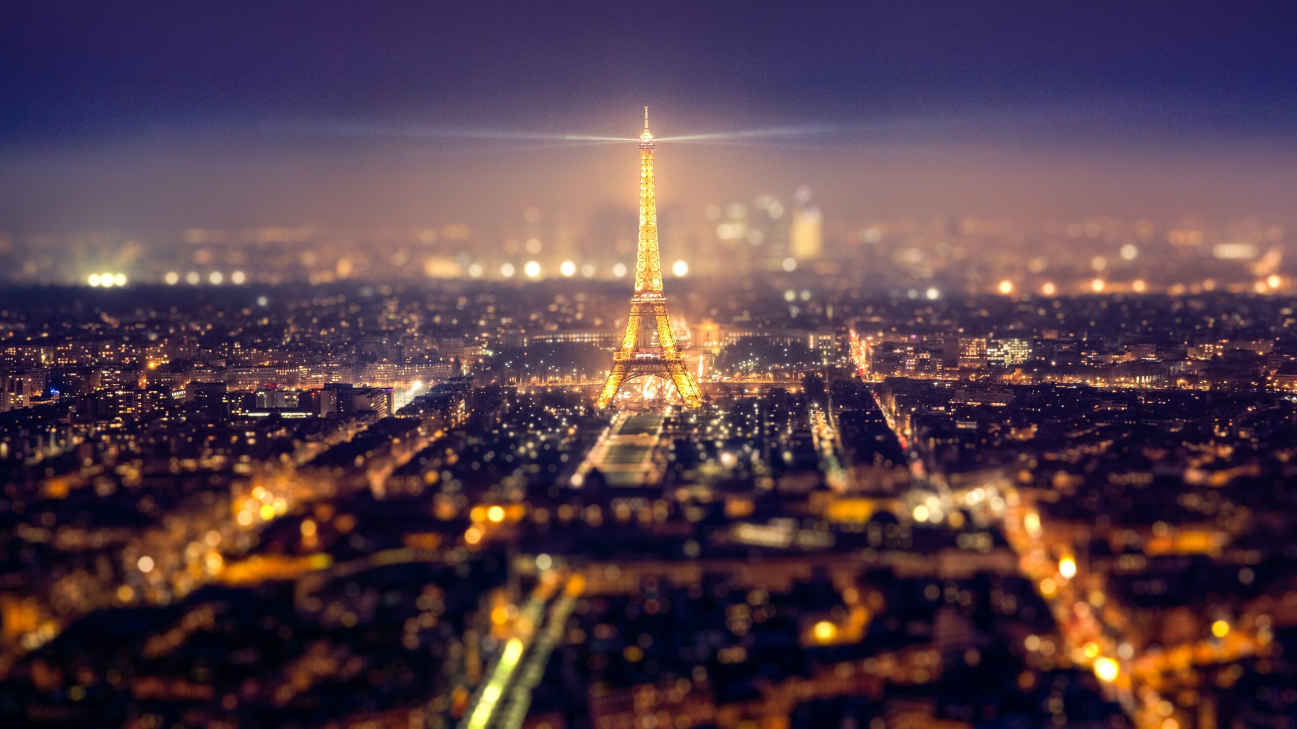 Private chauffeur holding door by the illuminated Eiffel Tower